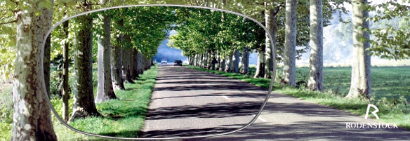 header_lentile_cmcontrast